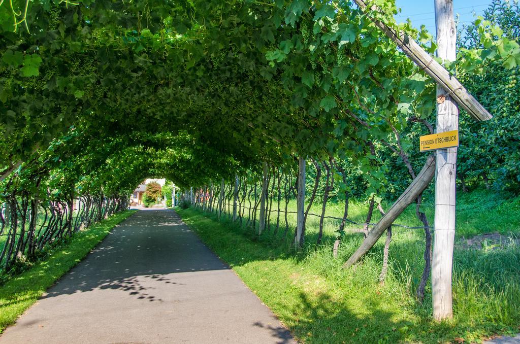 Pension Etschblick B&B Frangarto Zewnętrze zdjęcie